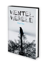 Spinning world. 12+ - afbeelding 1