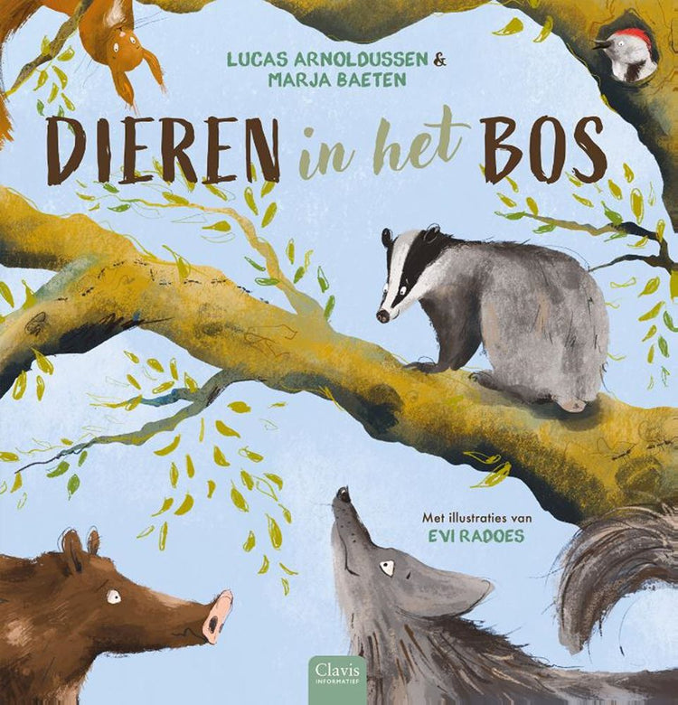 Libro illustrato: animali nella foresta. 7+