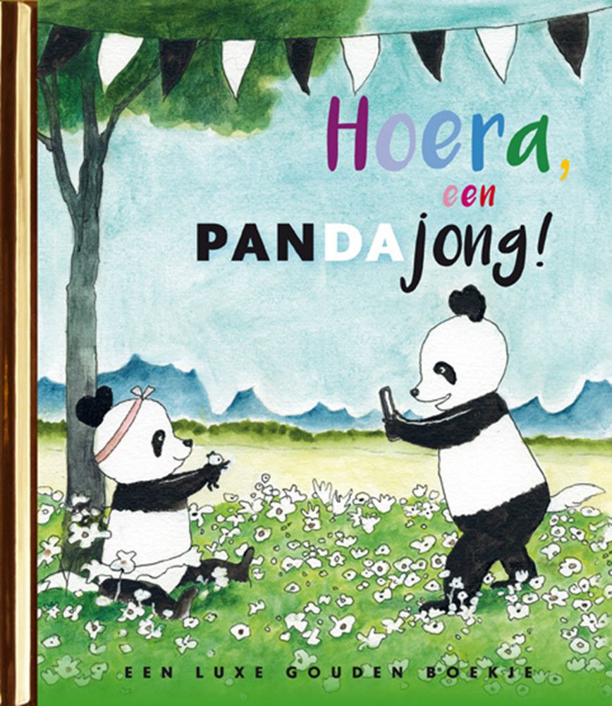 ¡Hurra, cachorros de panda! 4+