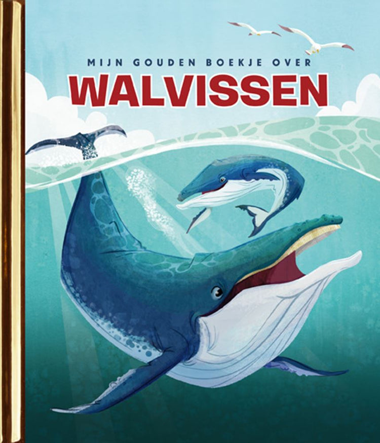Il mio libro d'oro sulle balene 4+