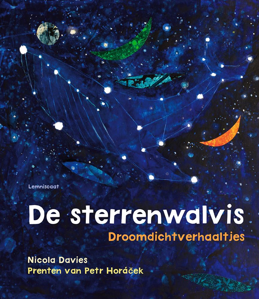 La ballena estrella 6+