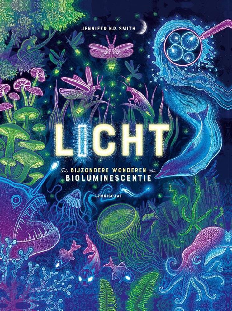 Luz 10+