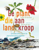 La planta que se arrastró hasta la tierra 9+