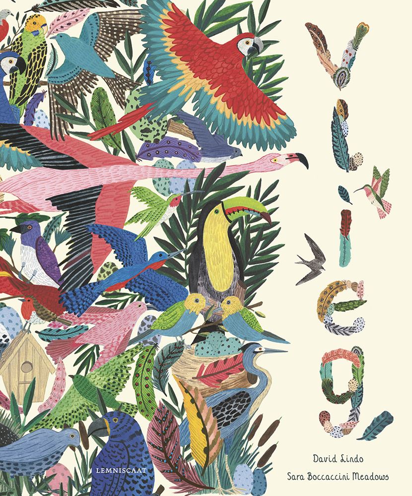 Volar. libro ilustrado. 9+