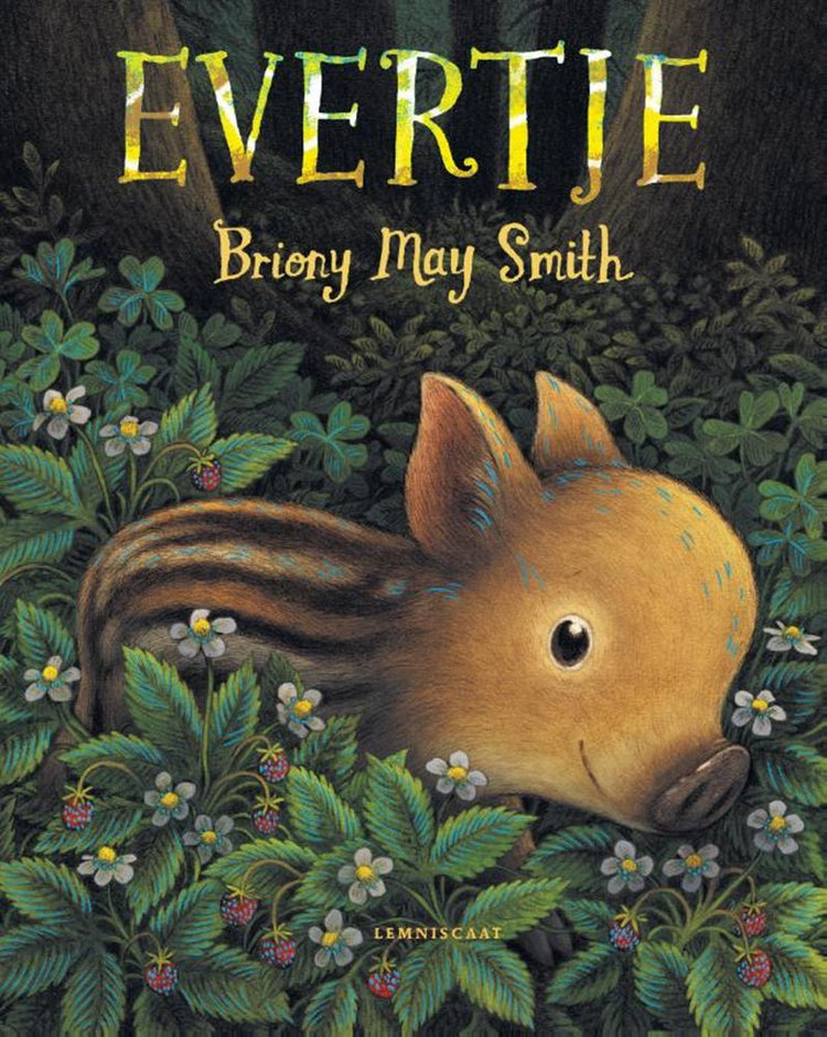 Libro illustrato: evertje 4+