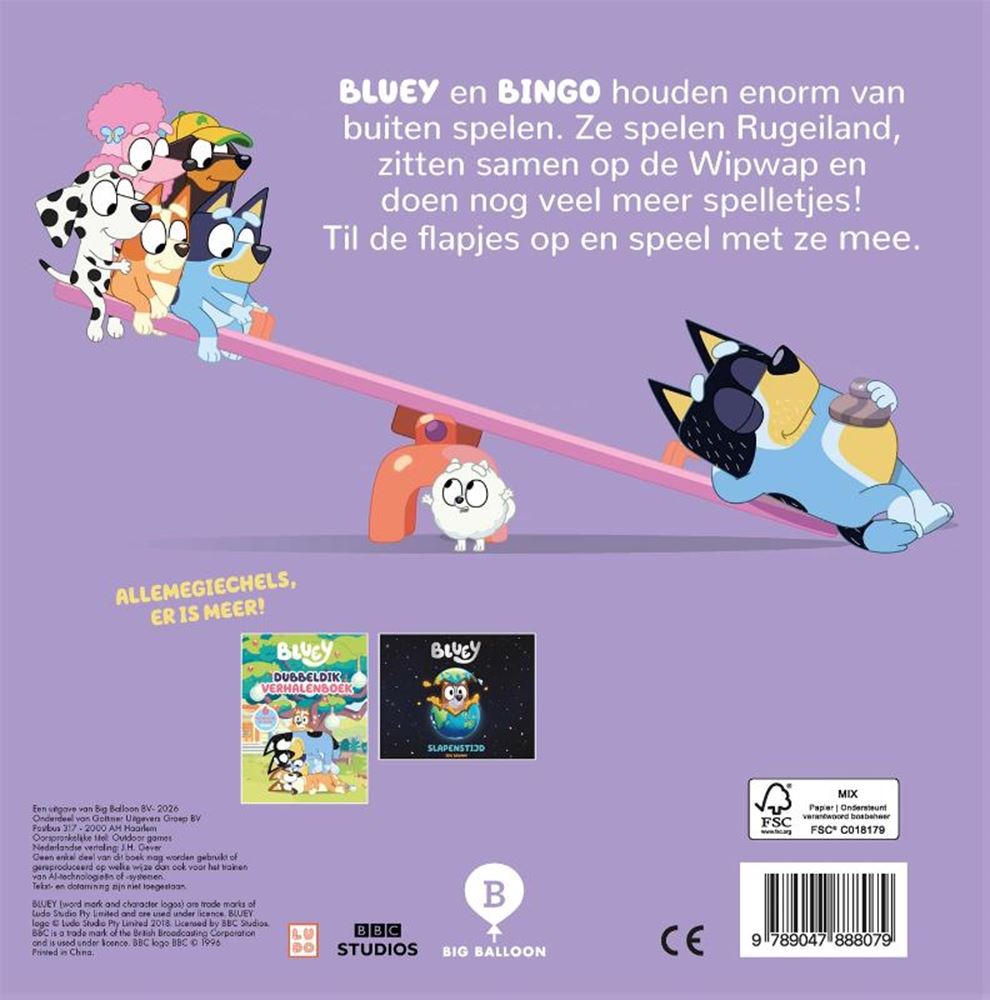Central book house outdoor games - flap book