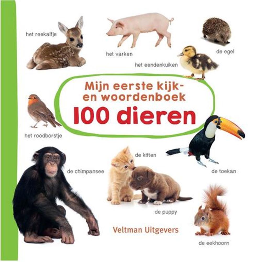 ¡Mi primer diccionario de animales! 1+