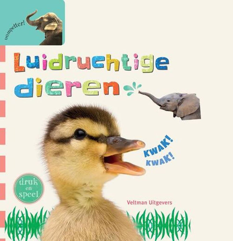 Libro sonoro: animales ruidosos. 1+