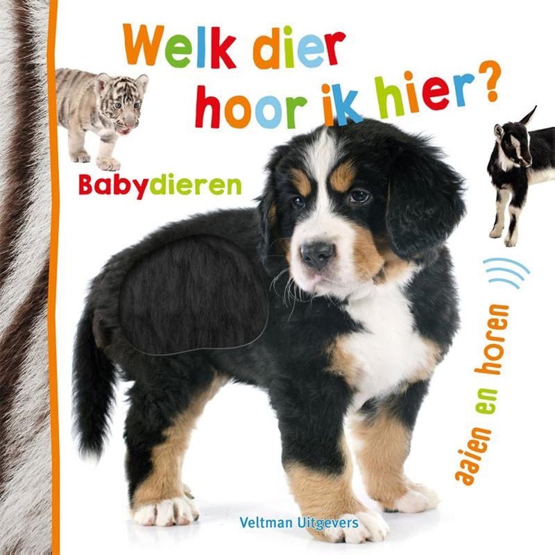 ¿Qué animal escucho aquí? animales bebes. 1+