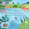 Uccelli - per piccoli esploratori