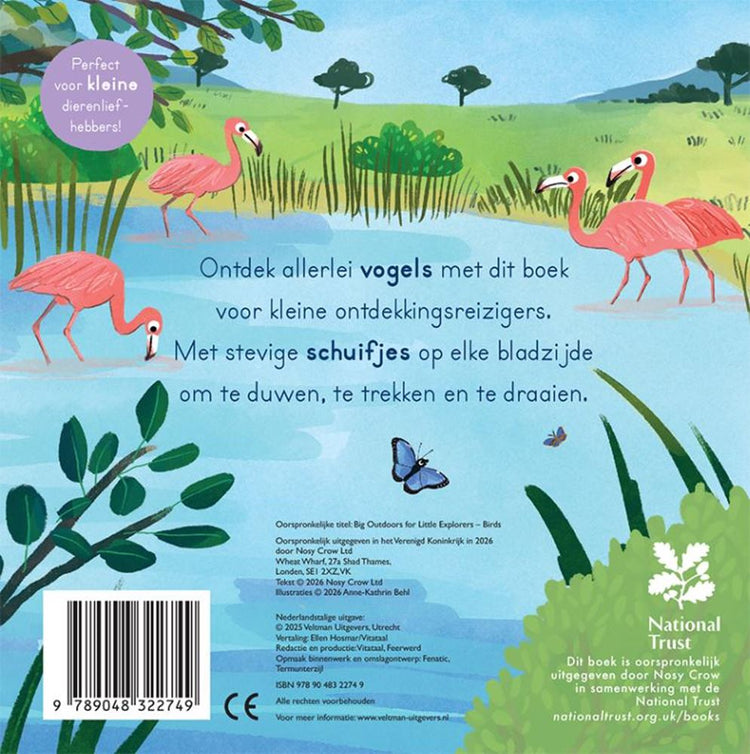 Aves - para pequeños exploradores