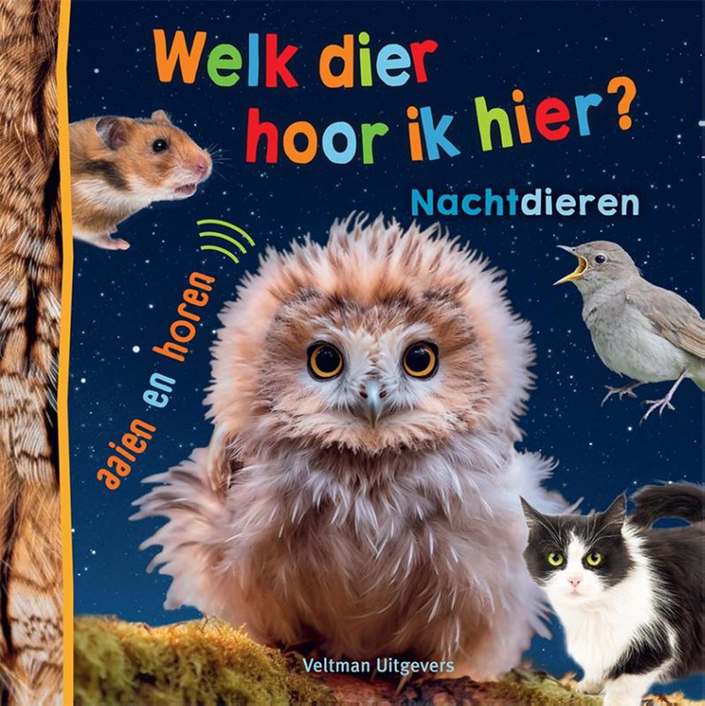Quale animale sento qui? - animali notturni 1+