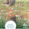 Mini guía de aves de campo.