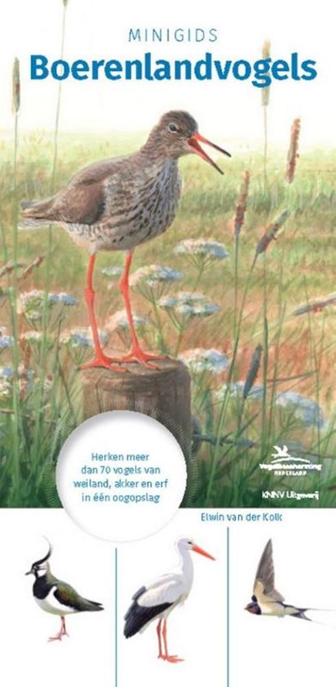 Mini guía de aves de campo.