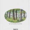 Cancionero de Bodo con CD. 6+