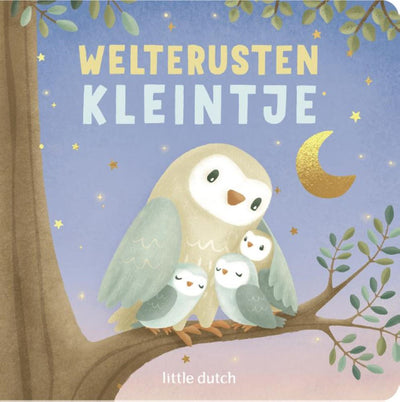 Book little dutch good night little one