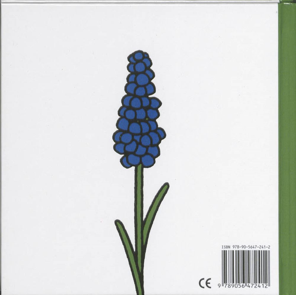 Libro dei fiori. 2+