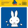 Diversión en la playa con Miffy. libro de baño. 1+