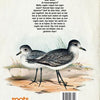 Radici. uccelli del libro della natura. 8+