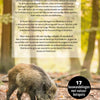 Los paseos por el bosque más bonitos de los Países Bajos