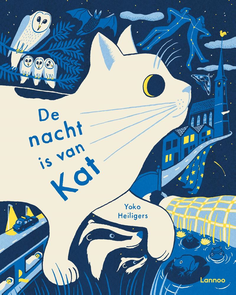 Libro ilustrado: la noche pertenece al gato 5+