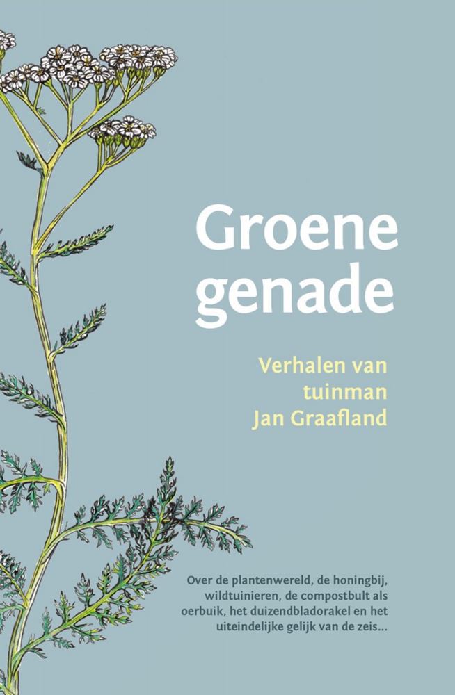 Grazia verde.