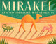 Libro ilustrado: milagro 4+