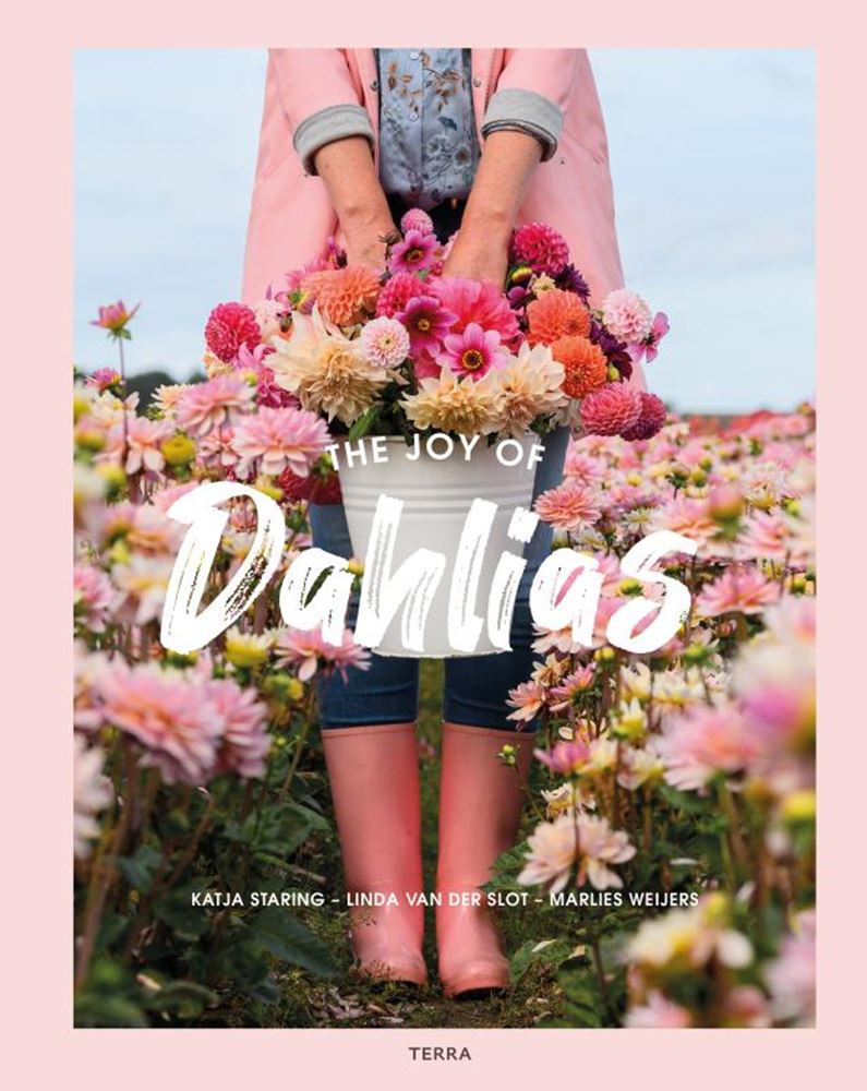 La alegría de las dalias. adulto