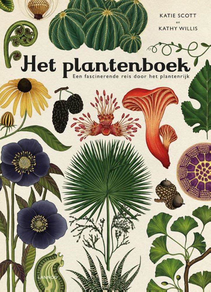 Il libro delle piante. 8+