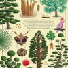 Carte orali il grande libro degli alberi