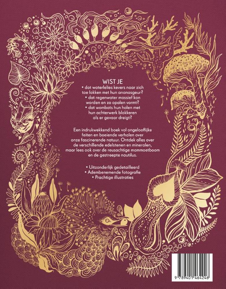 Libro spesso sulla nostra natura speciale