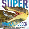 Libro de superdinosaurios de tarjetas orales