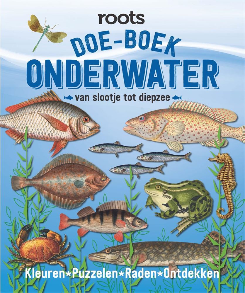 Raíces. libro de actividades bajo el agua