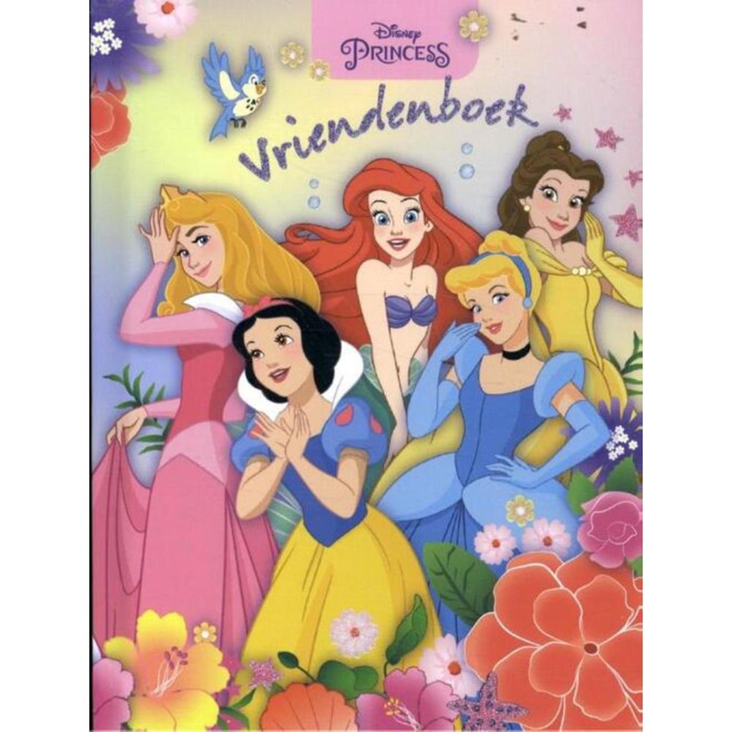 Libro degli amici di Imagebooks - Principesse Disney