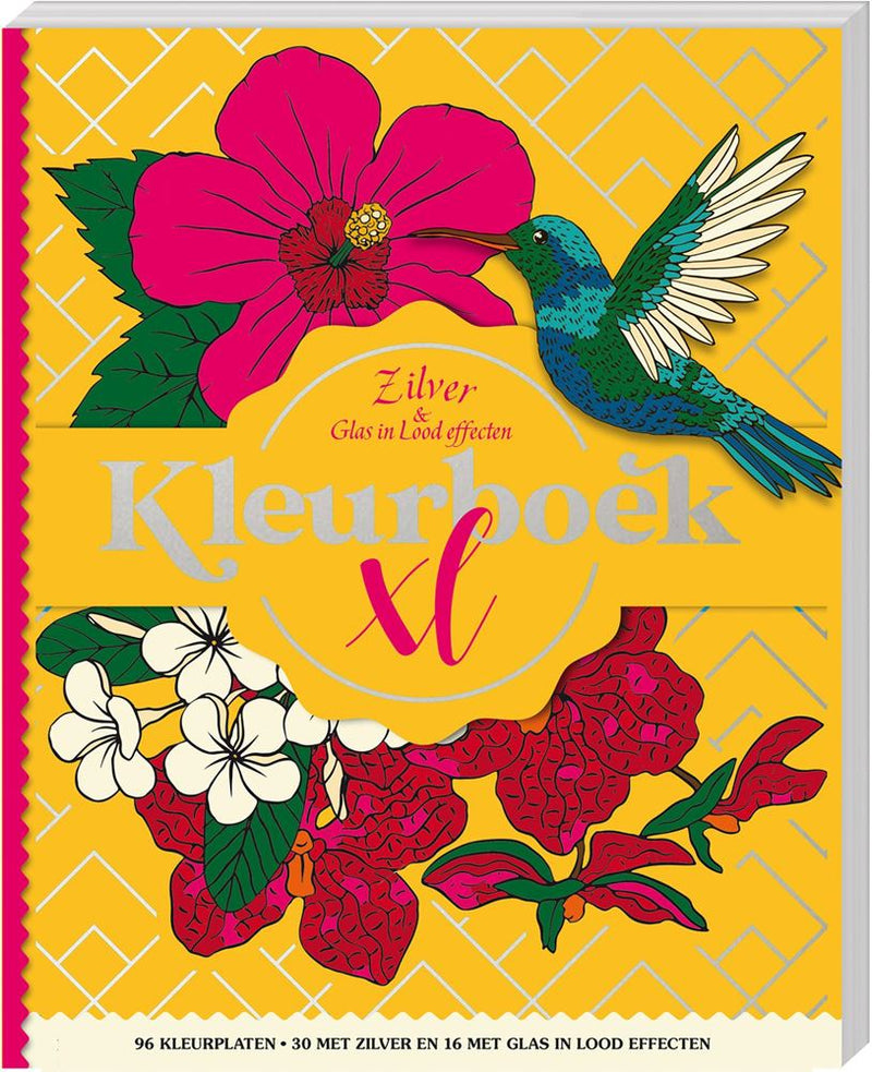 Libro para colorear xl - vidriera plateada eff