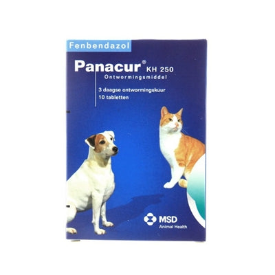 Gato de perro panacur