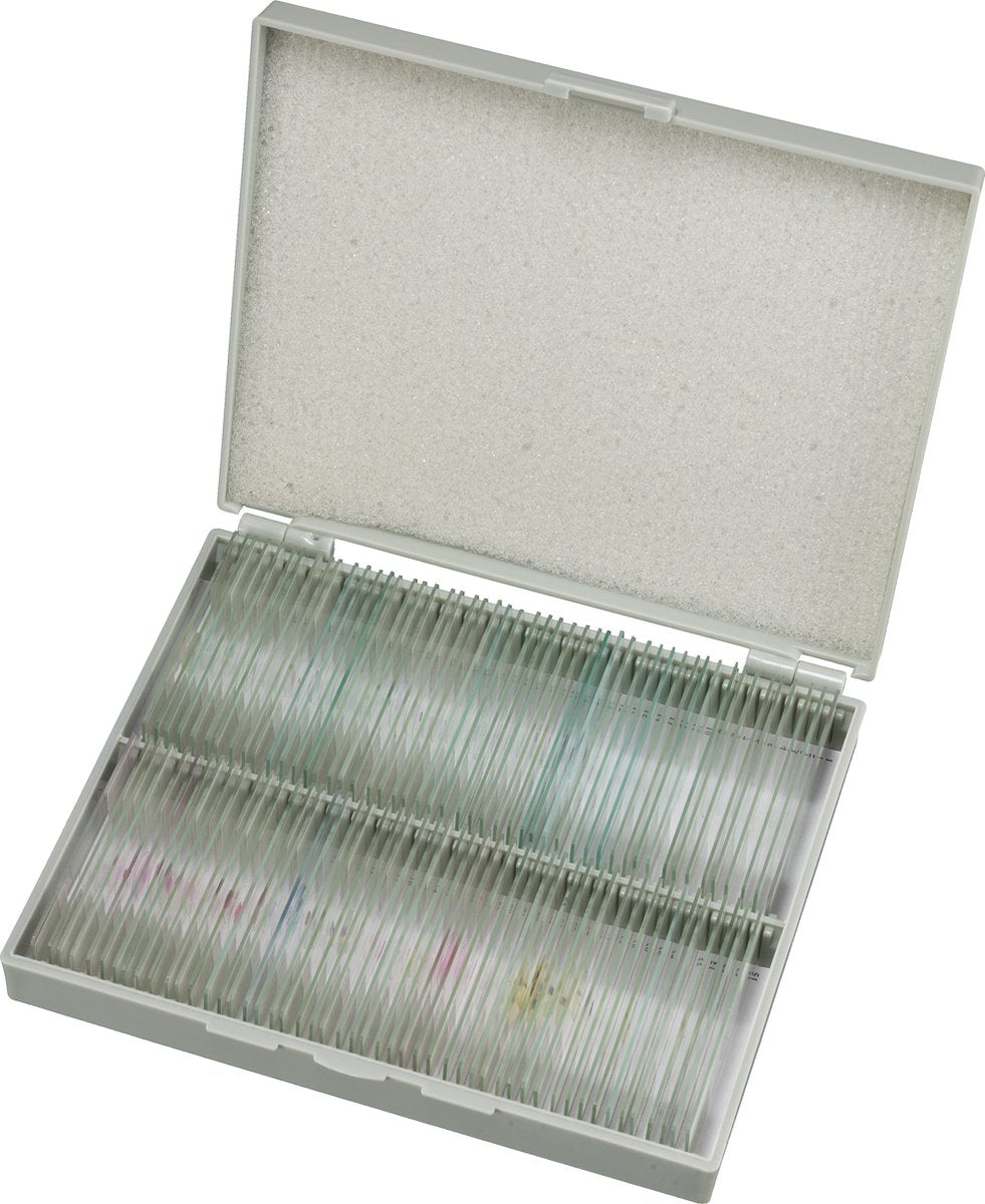 Preparati Bresser - pre-preparati - adatti per microscopi trasparenti - 100 pezzi - microbiologia biologia cellulare