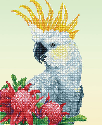 Diamond dotz® pittura diamante adulti - pietre rotonde - confezione completa - hobby - - dd10.059 - animali - cacatua bianco warathas 51 x 41 cm