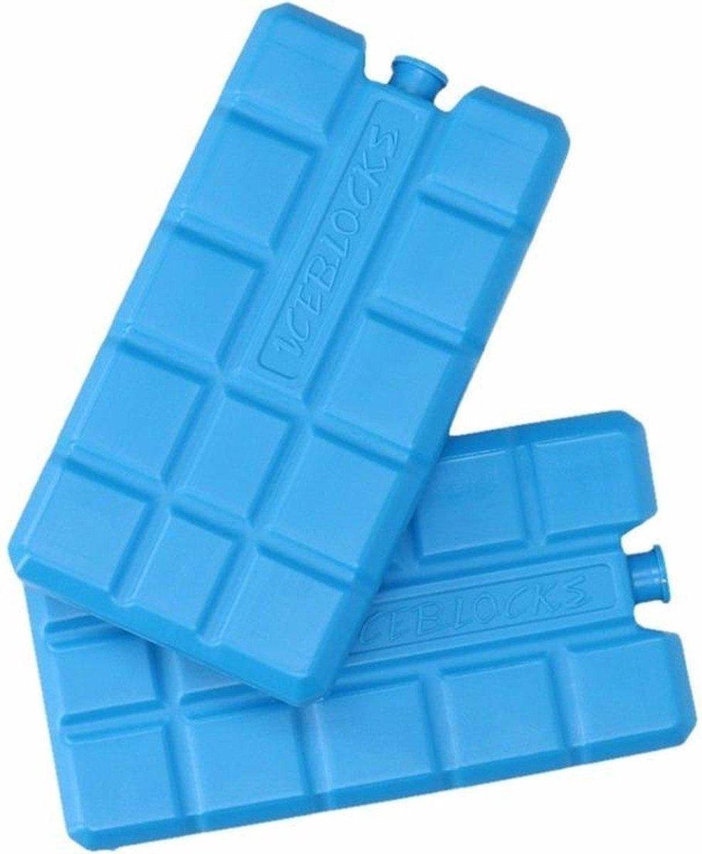 Elementi refrigeranti Carpoint - 2 pezzi - 15x8x2 cm - blu