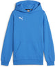 Puma teamgoal casuals hoody jr jongens sporttrui - ignite blue- white