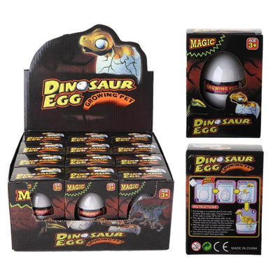 Uovo di crescita di dinosauro in scatola
