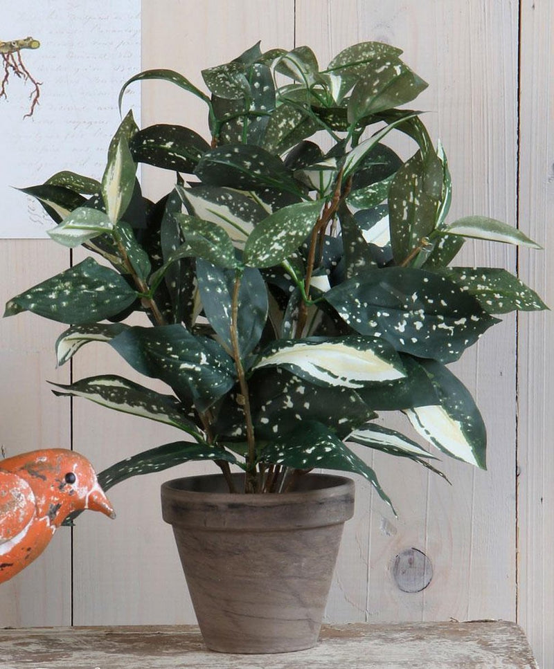 Decoraciones de mica planta artificial cordyline - verde - h33 cm x d25 cm - maceta decorativa gris - planta de interior - plantas artificiales plantas falsas