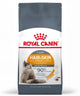 Cane reale
