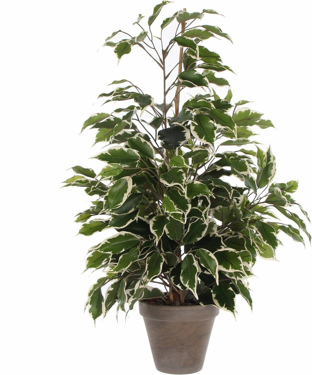 Decorazioni in mica pianta artificiale ficus - verde bianco - 65 cm - da interno - piante artificiali piante finte piante da interno