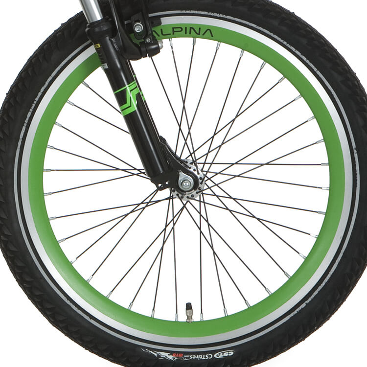 Rueda delantera Alpina 20 J19DB Spk negro verde