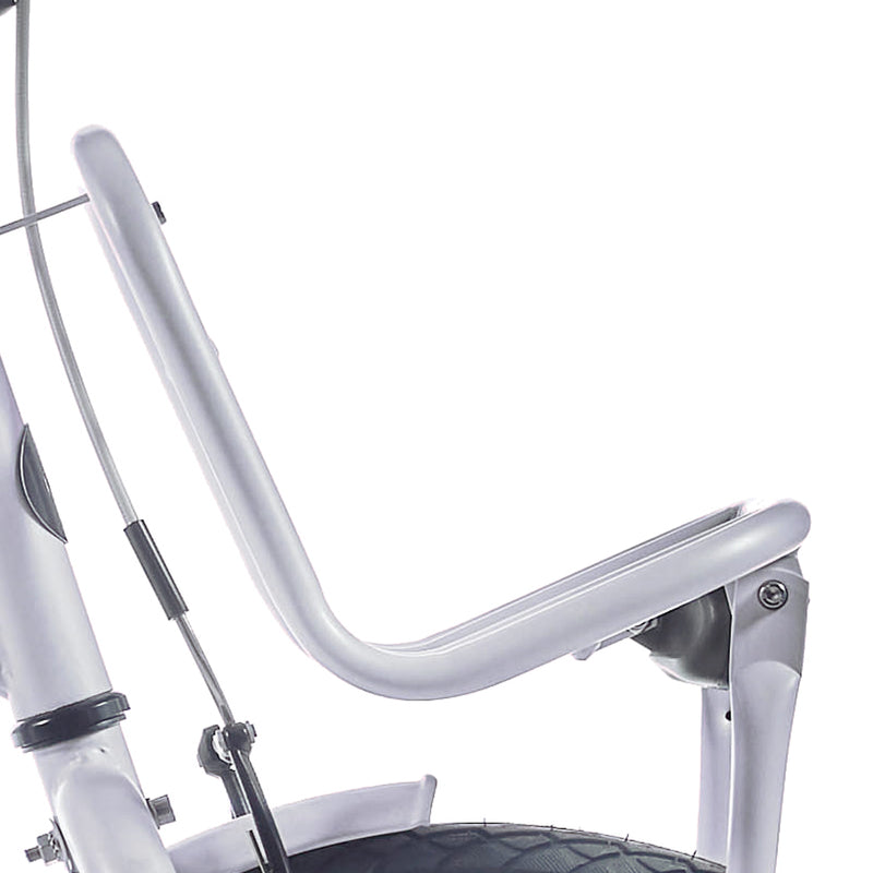 Alpina Front Carrier 22 clubb gelendo rosa Matt