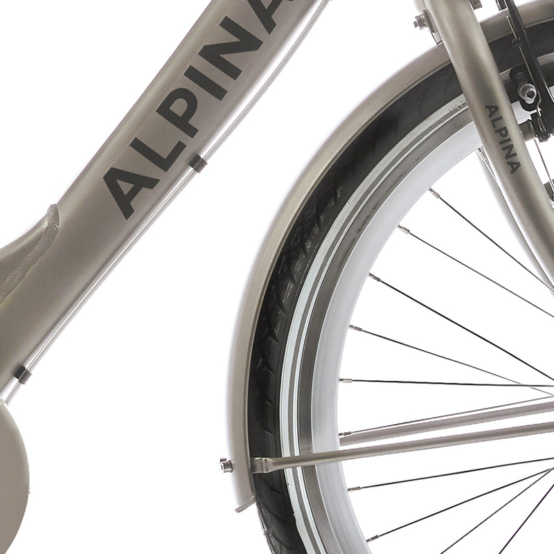 Alpina spatbord set 24 clubb gold met matt
