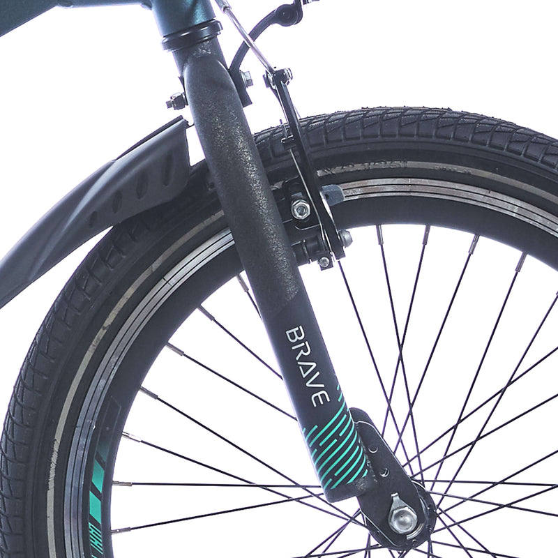 FORK ALPINA 20 BRAVE Vulcano Black Matt