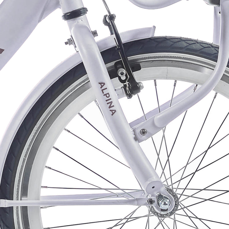 FORK ALPINA 20 CLUBB FROSTY PINK MATT