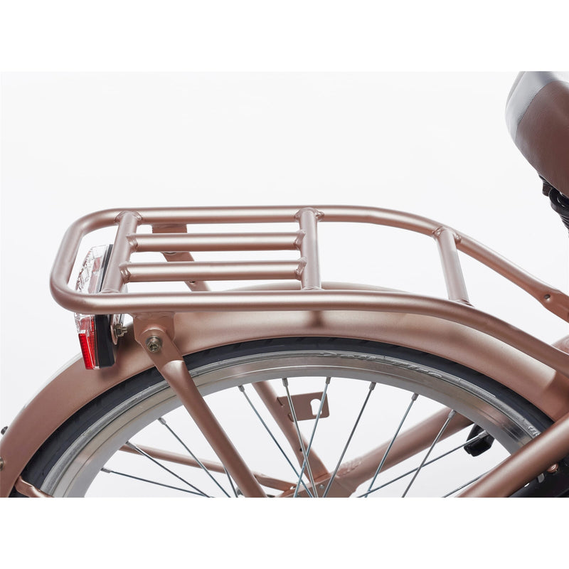 Alpina achterdrager 22 clubb rose gold matt